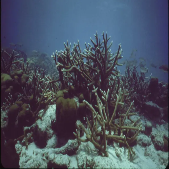 About Us View of the deep ocean.